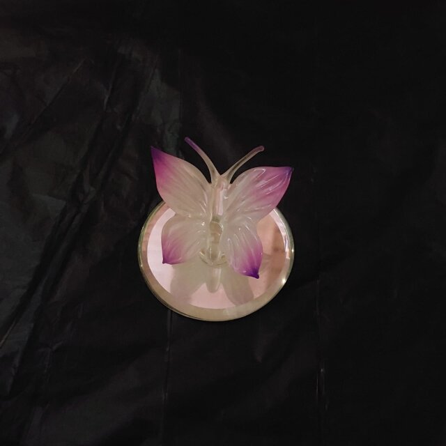 Dolphin And Butterfly