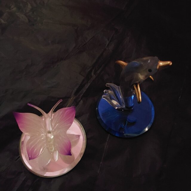 Dolphin And Butterfly Decorations Kingston