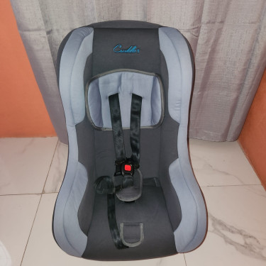 Baby /Toddler Car Seat
