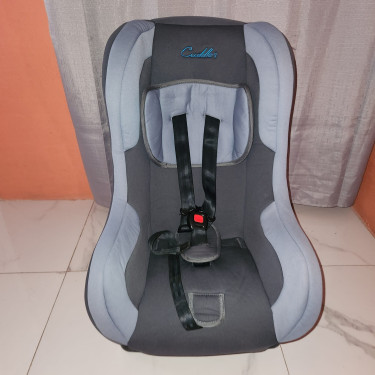 Baby /Toddler Car Seat Car Safety Seats Drax Hall