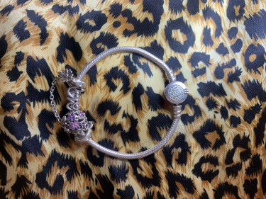 Pandora Moments Snake Chain Bracelet  Anklets & Bracelets Ocho Rios