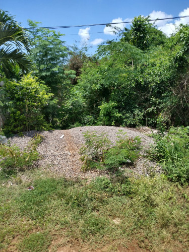 SINGLE LOT Land LOT 6 EVANS AVENUE, ST.JOHN'S HEIGHT