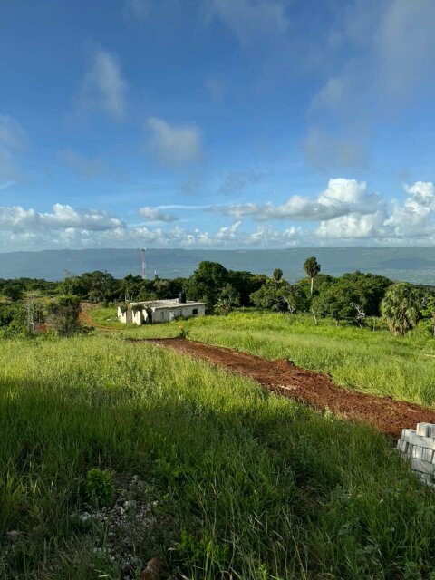 Land For Sale 1/4 Acre Lots Land St. Elizabeth