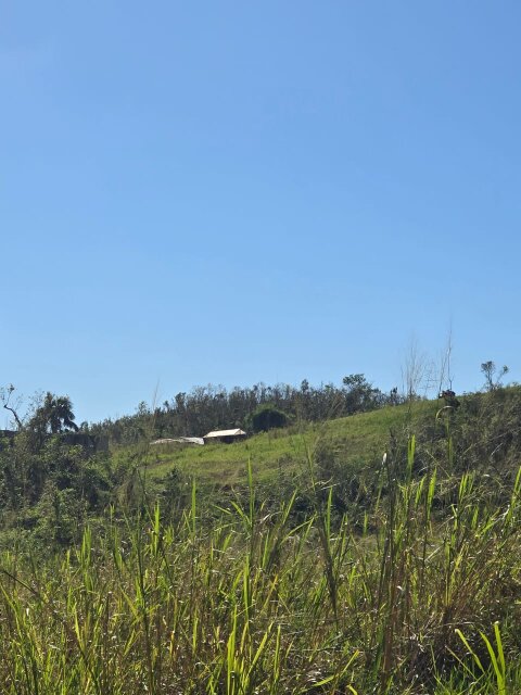Land For Sale 1/4 Acre Lots