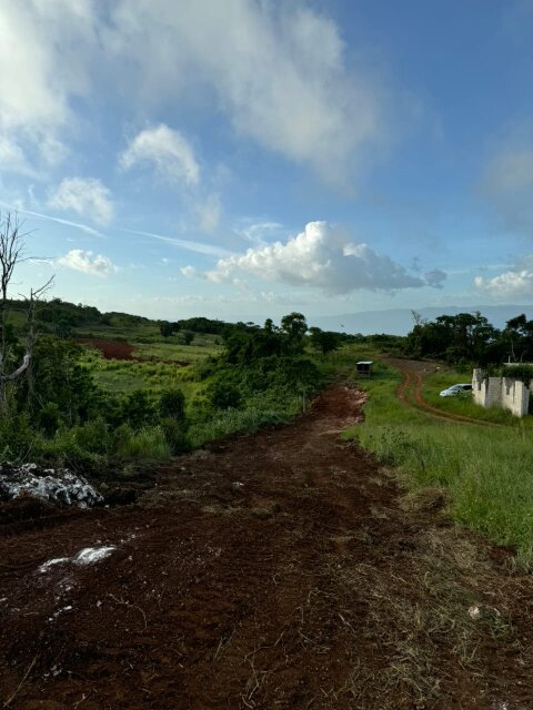 Land For Sale 1/4 Acre Lots