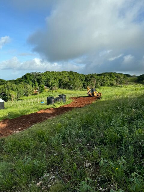 Land For Sale 1/4 Acre Lots