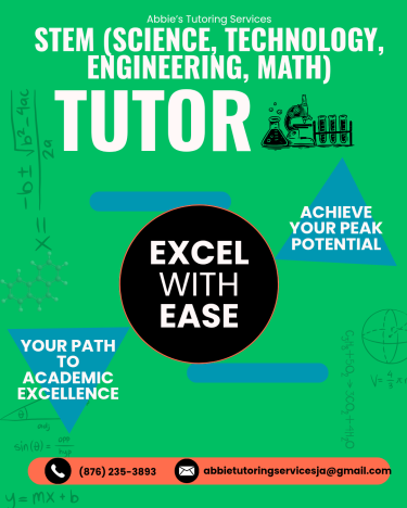 Private STEM Tutor