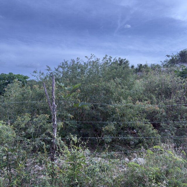 1 Acre Land
