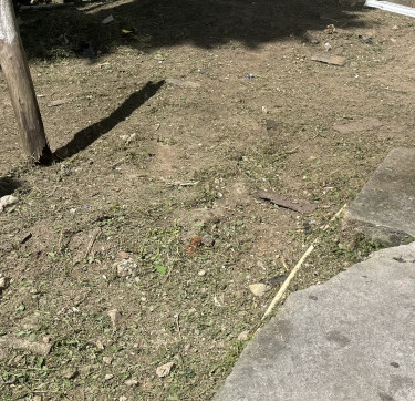 Weed Wacker 