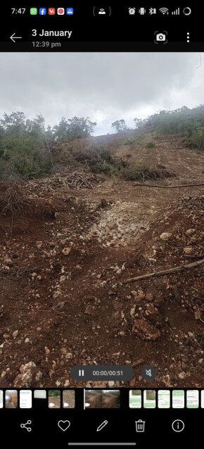 1/4 Acre (2.5 Square)