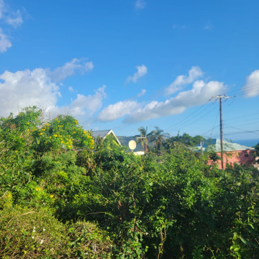 Sea View - One Acre Lot For Sale In Junction 