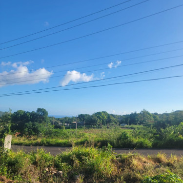 Sea View - One Acre Lot For Sale In Junction  Land Junction