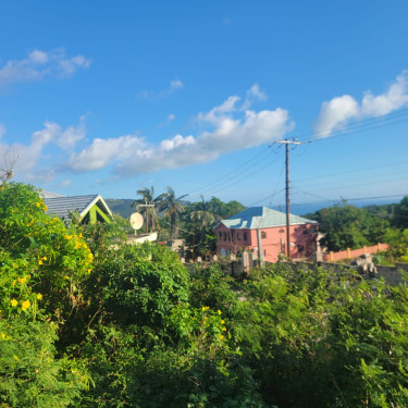 Sea View - One Acre Lot For Sale In Junction 