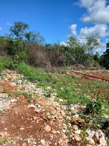 1/4 Acre Lot In Newport
