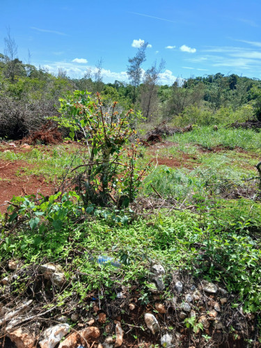 1/4 Acre Lot In Newport