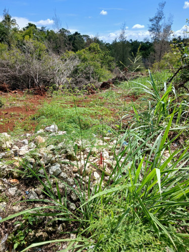 1/4 Acre Lot In Newport