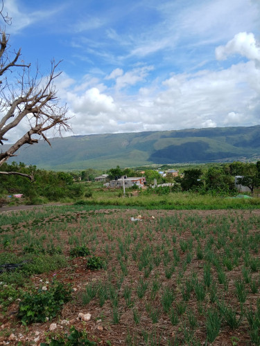 SEAVIEW 1/4 Acre Lot Junction