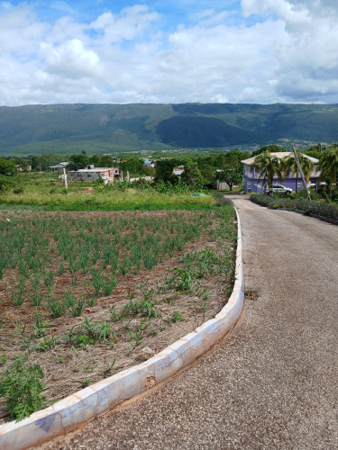 SEAVIEW 1/4 Acre Lot Junction