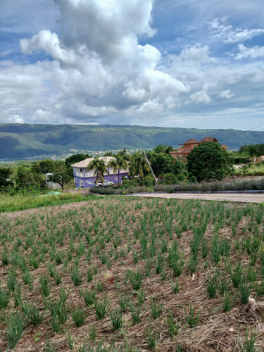 SEAVIEW 1/4 Acre Lot Junction