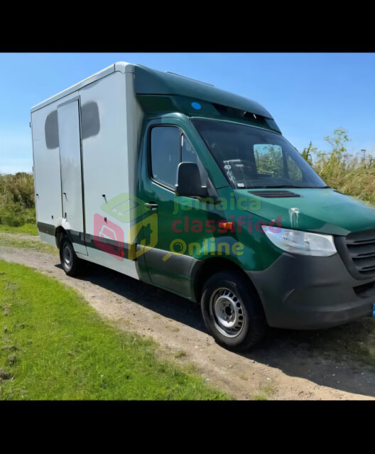 Mercedes-Benz Sprinter 2.0 315 CDI 2019 Vans & SUVs Halfway Tree
