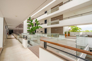 1 Bedroom Kingston Paradise Luxury Suite
