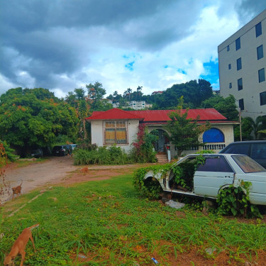 Good For Real Estate On Maine Road Half Of A Acre  Land 220 Mountain View Ave Kingston 6
