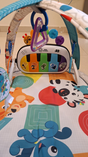 Baby Einstein Playmat