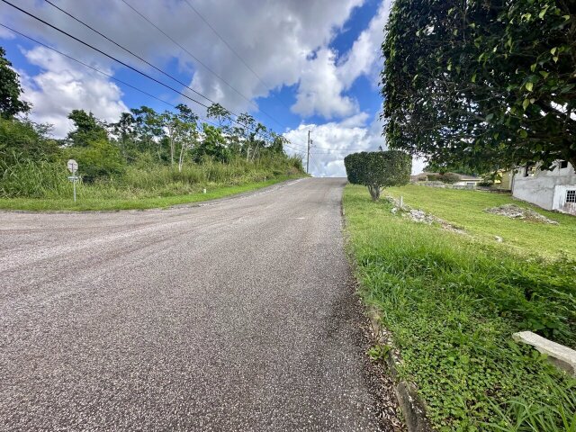 Little Under Half Acre Vacant Lot