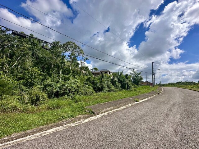 Little Under Half Acre Vacant Lot