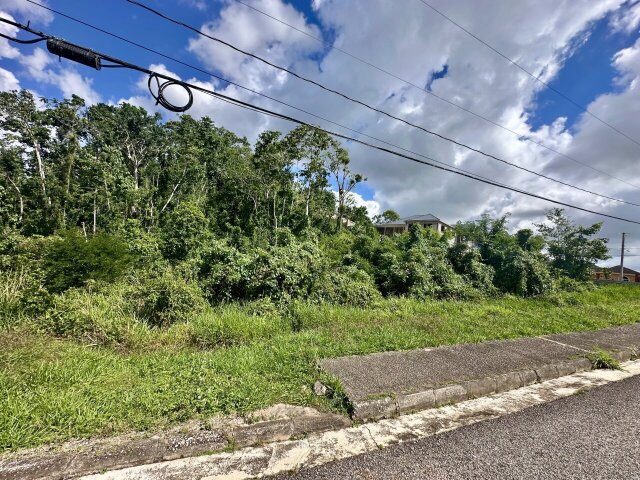 Little Under Half Acre Vacant Lot