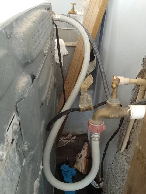 Plummer