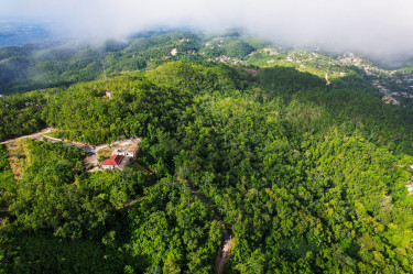 6.8 Acres Of Land For Sale - Cooper's Hill