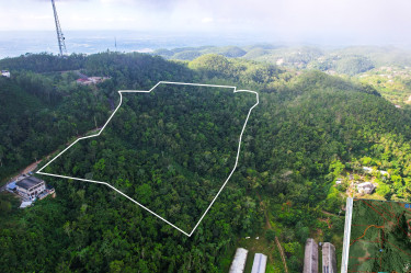 6.8 Acres Of Land For Sale - Cooper's Hill