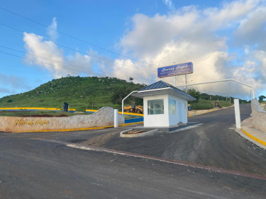 .55 Acres Of Land