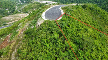.55 Acres Of Land