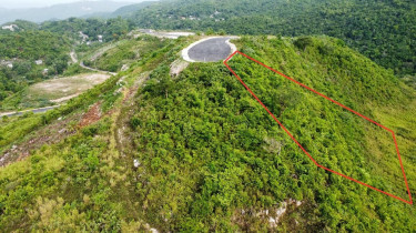 .55 Acres Of Land