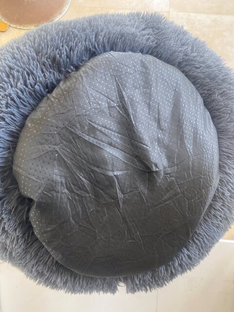 Pet Cushion Pet Accessories Half Way Tree