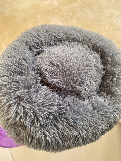 Pet Cushion