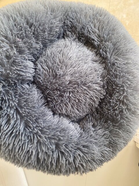 Pet Cushion