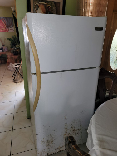 Frigidaire Refrigerator