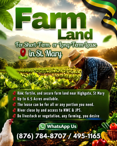 Farmland  Land Highgate 
