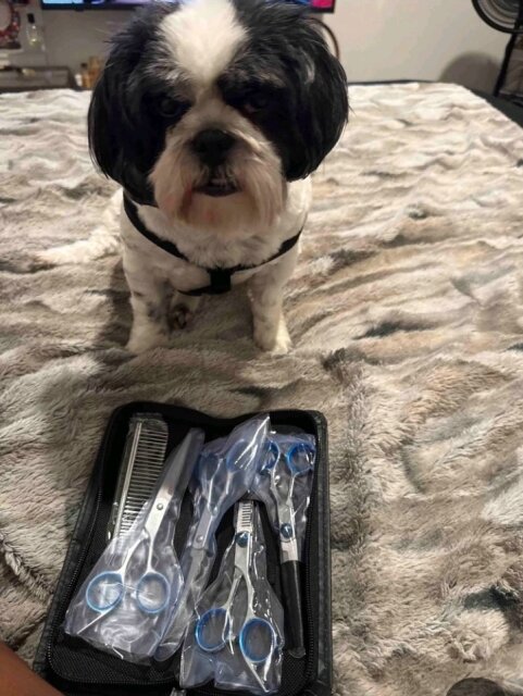 Pet Grooming Set