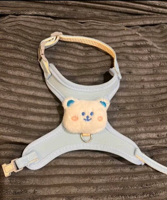 Pet Harness