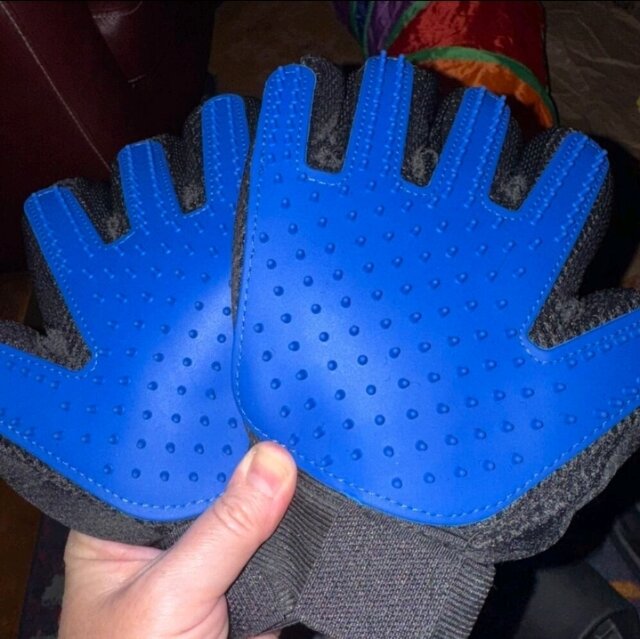 Fur Grooming Gloves