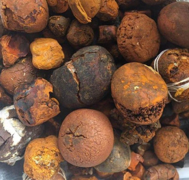 Buy Cow /Ox Gallstone Available On Stock Now @ (Wh Livestock Half Waytree