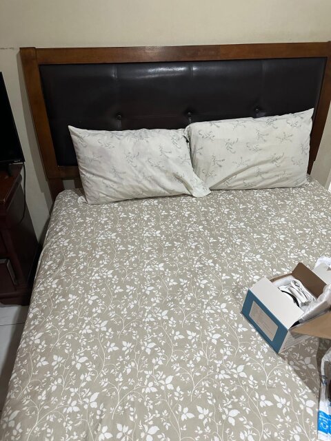 Contemporary Queen Bed Frame Beds Red Hills Rd