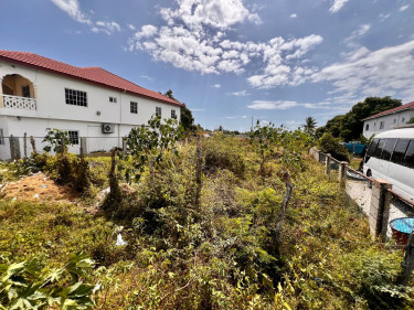 Land For Sale _ Prime Area Land Angels_ Spanish Town
