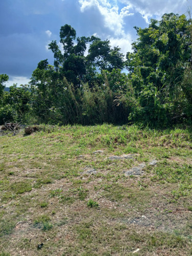 4 Bedrooms 3 Bath Home on 2.5 Acres in Manchester