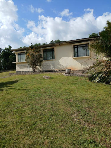 4 Bedrooms 3 Bath Home on 2.5 Acres in Manchester Houses Mandeville