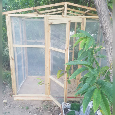 Pet Houses & Wooden Structures Built Apartments Kingston